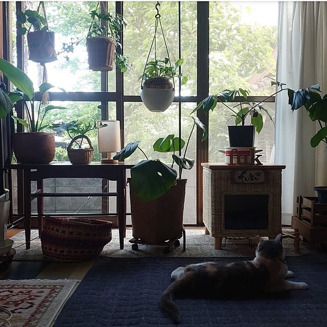 fukuさんの部屋