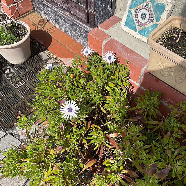 shin0719さんの部屋