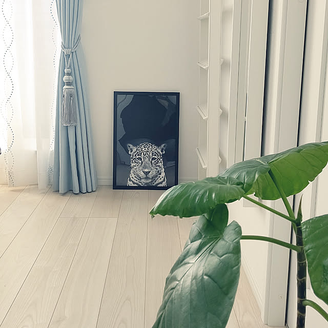 nyanpeiさんの実例写真