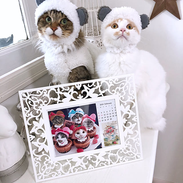 yuchiさんの実例写真