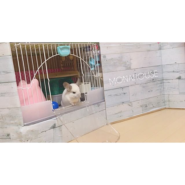 MONAさんの実例写真