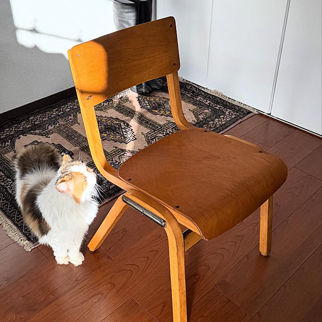 chulashihoさんの部屋