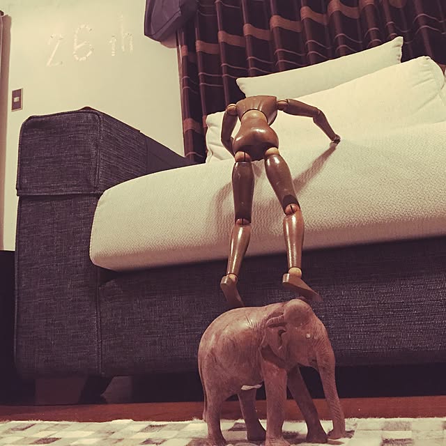 U_tatterさんの実例写真