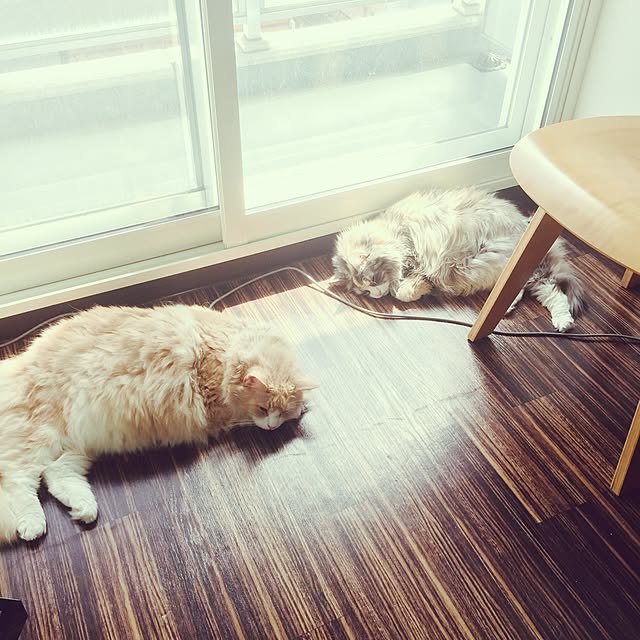 Yusukeさんの実例写真