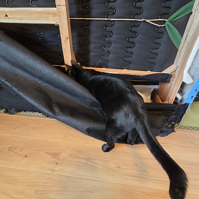 ten_skさんの部屋