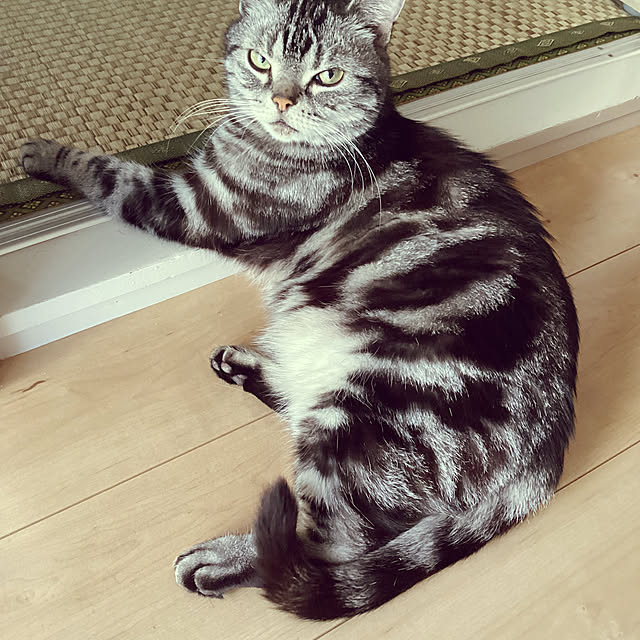 richanさんの実例写真