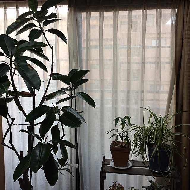 musucariさんの実例写真