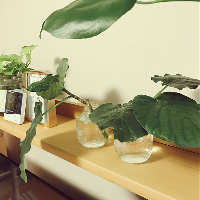 rizumu4649さんの実例写真
