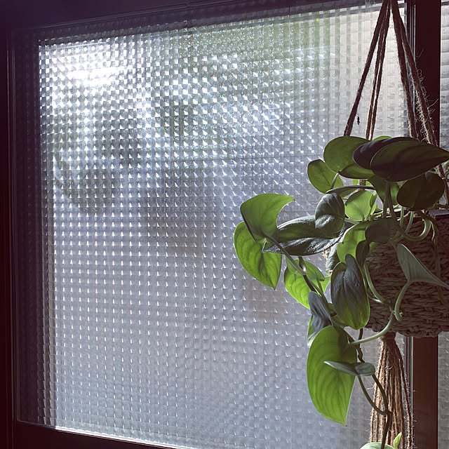 himmeli___.さんの実例写真