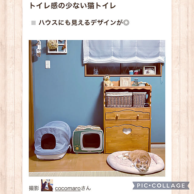 cocomaroさんの実例写真