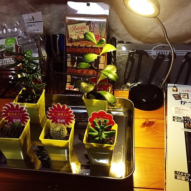 nozomu.inzmさんの実例写真