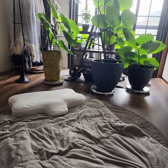 CYNOSさんの実例写真