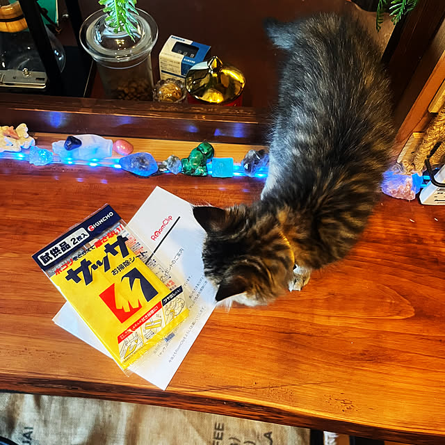 Mさんの部屋