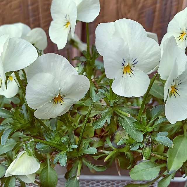 hiro.904さんの実例写真