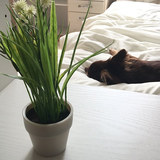 takaさんの実例写真