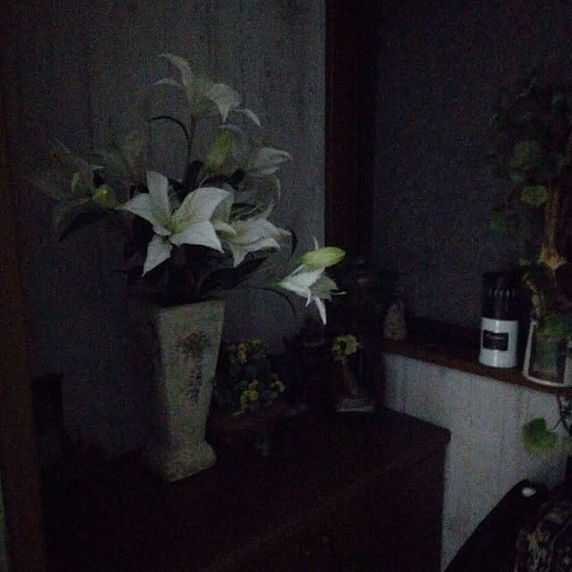 bachaoさんの実例写真