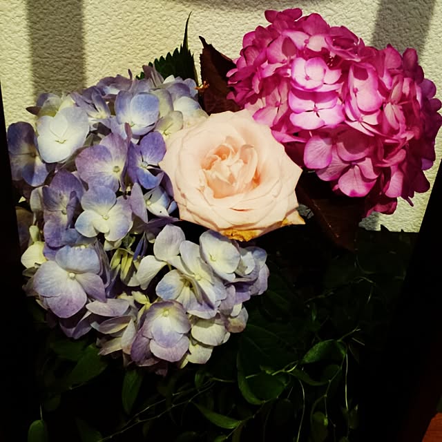 eimiさんの実例写真