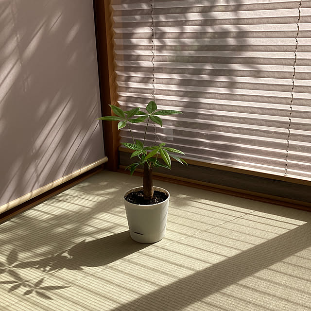 SATO_PASTAさんの実例写真
