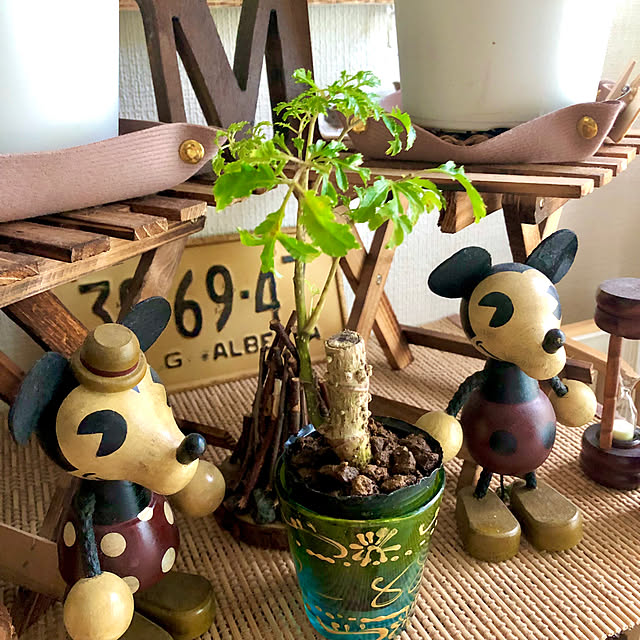 M_Mさんの部屋
