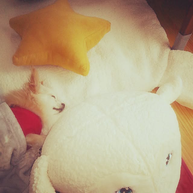 anny_minkさんの実例写真