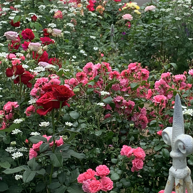 chiaki358さんの実例写真