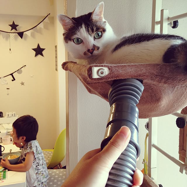 Sakiさんの実例写真