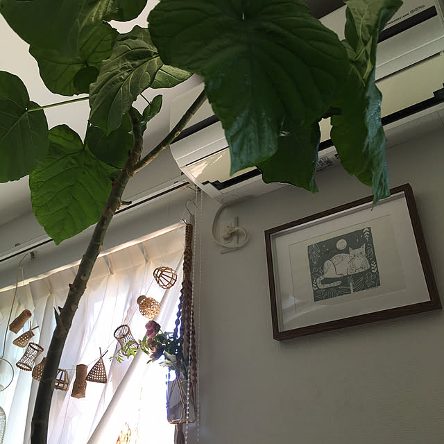 kojimasaさんの部屋