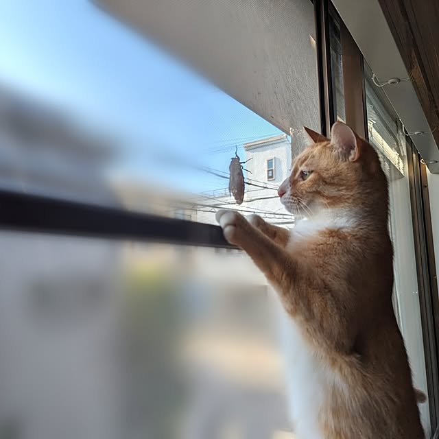 poteさんの部屋