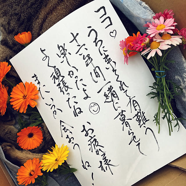 実例写真