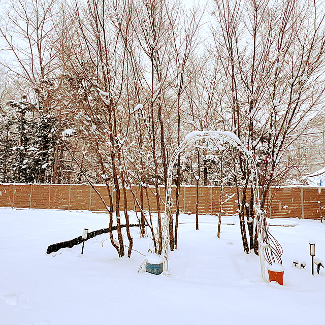 chanduさんの実例写真