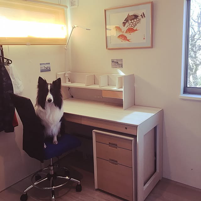 keloさんの実例写真