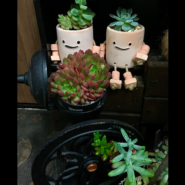 butachanさんの実例写真