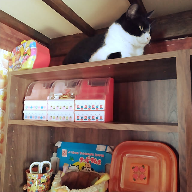 curekinokoさんの実例写真