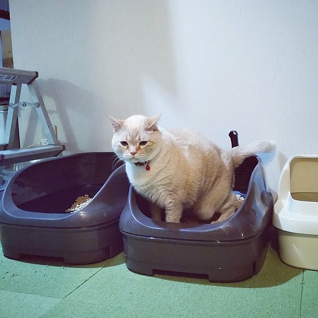 mntcさんの実例写真