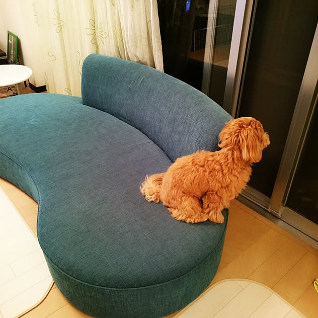 mi-さんの実例写真