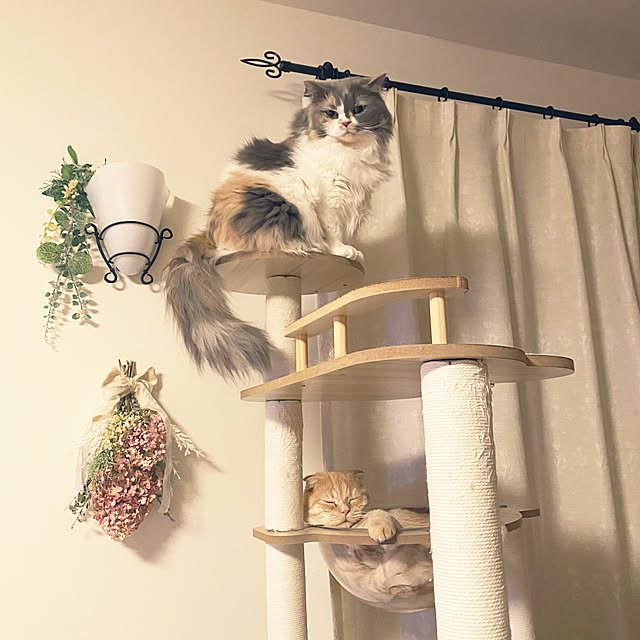 Mikipochiさんの部屋