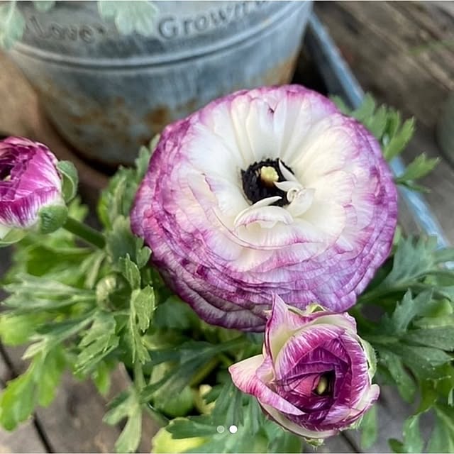 min_nimさんの部屋