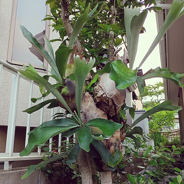 brooklynさんの部屋