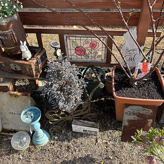 mayumiさんの部屋