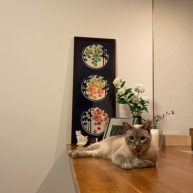 zumayanさんの実例写真