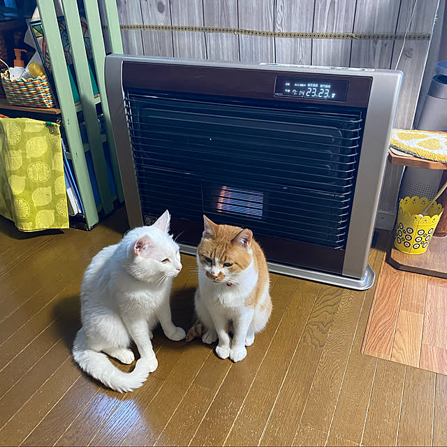 SHIHOさんの実例写真