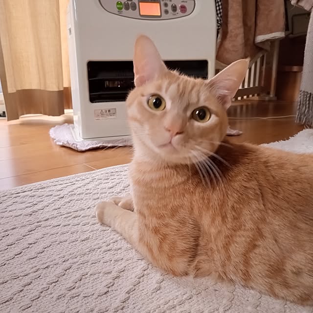 mayutan.さんの部屋
