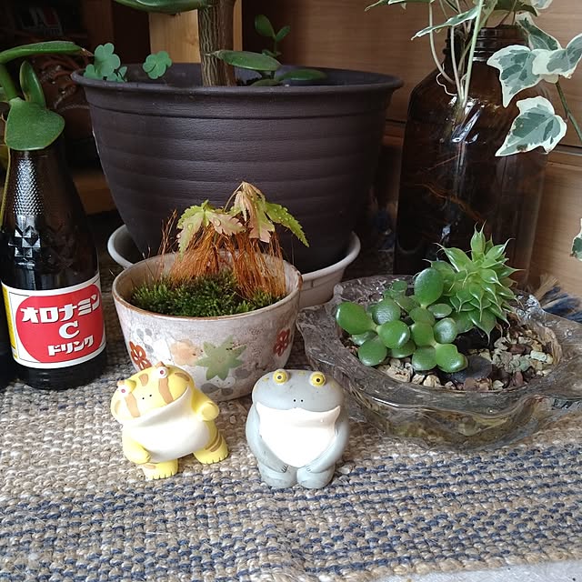 kiyohima229さんの実例写真