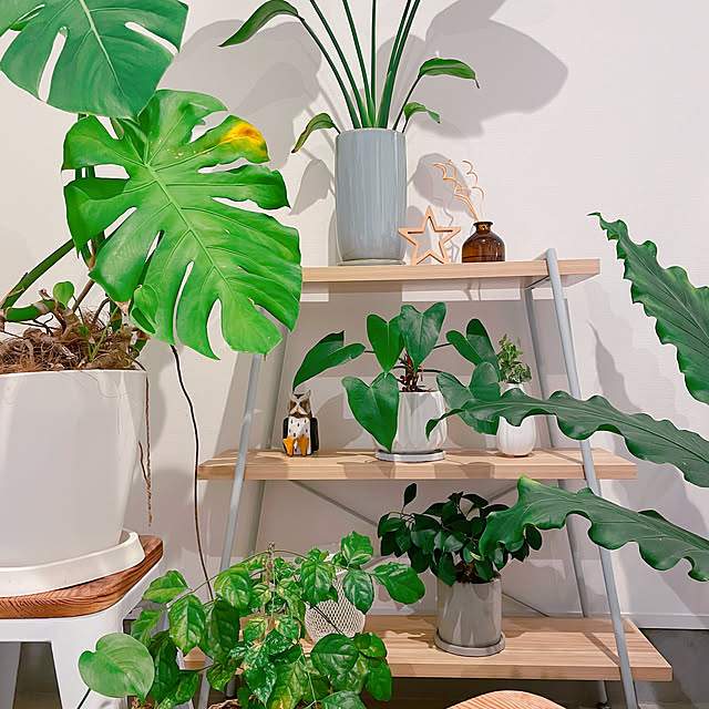 YUKOさんの実例写真