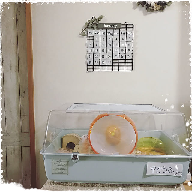 emiさんの実例写真