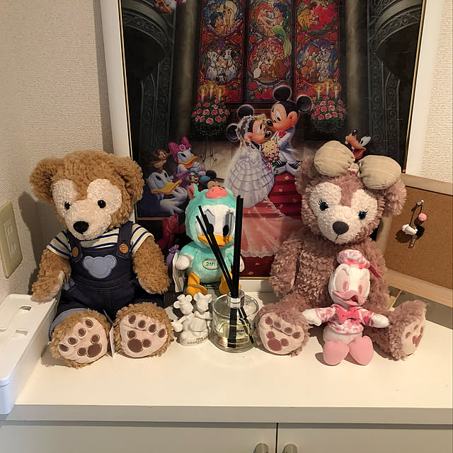reigostarさんの実例写真