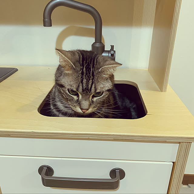 KotarouKunさんの実例写真