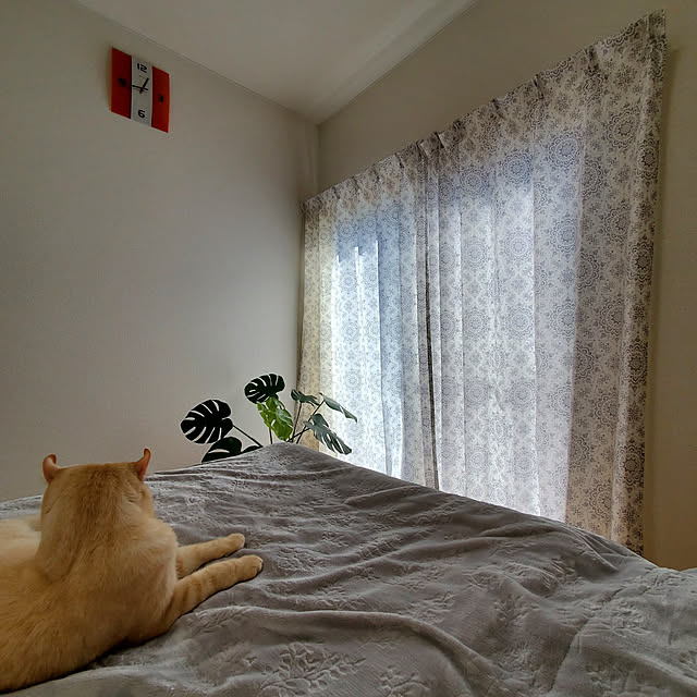 makoさんの実例写真