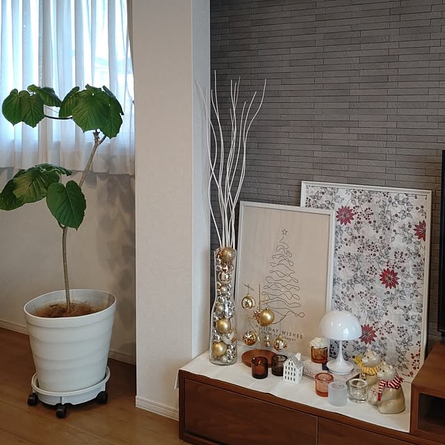 tan5さんの実例写真