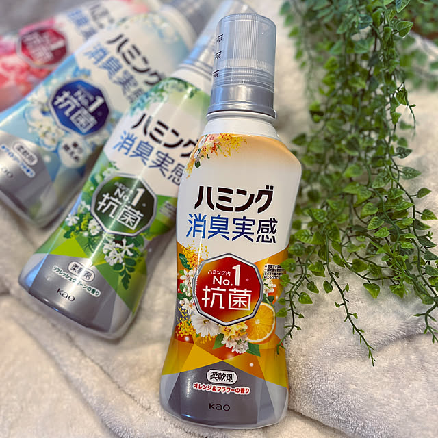 seiさんの実例写真